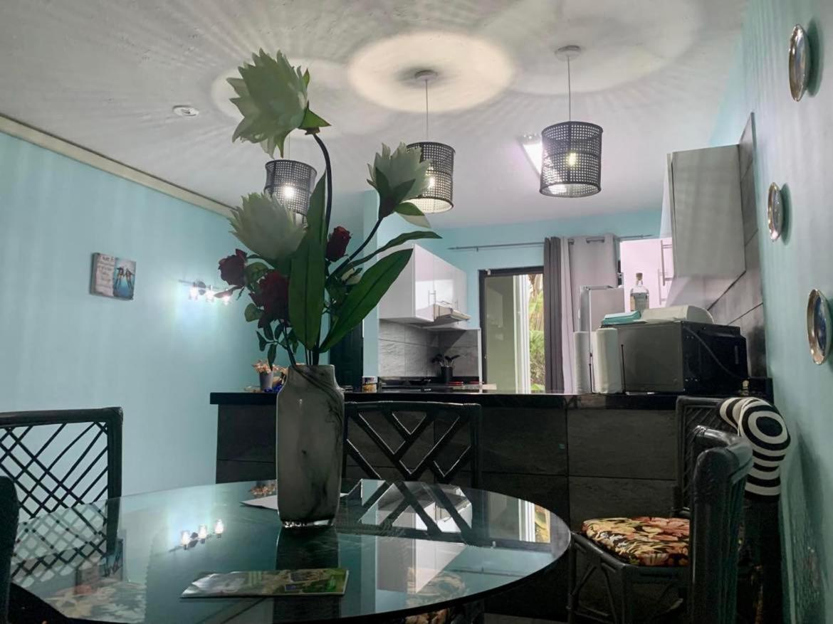 Sand Dollar Apartment B11 Serenity By The Sea Kralendijk  Exterior photo